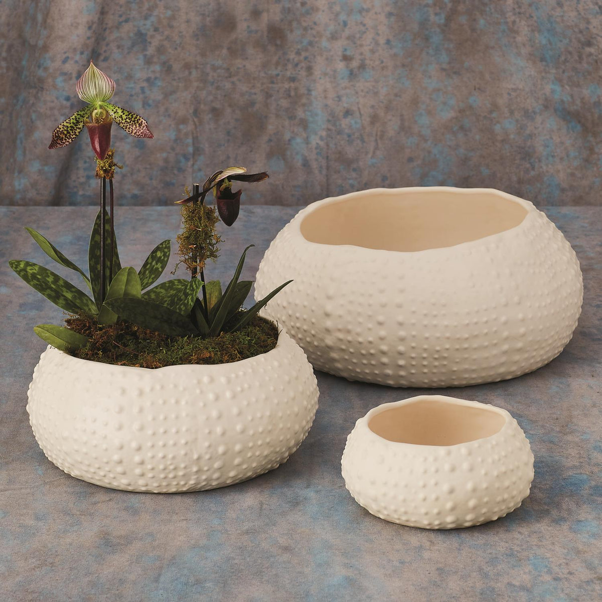 Ceramic Urchin BowlMatte White designlivingrd