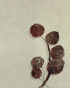 Eucalyptus Rose Merlot II