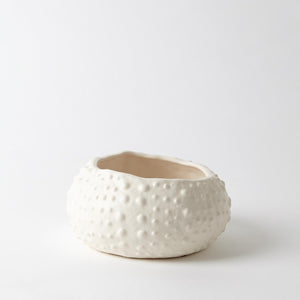 Ceramic Urchin Bowl-Matte White