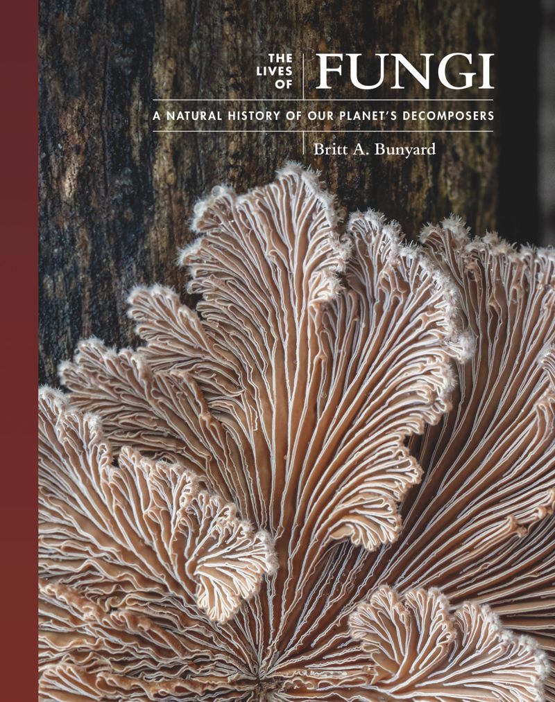 Book Lives of Fungi